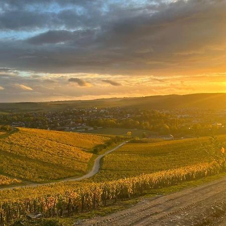 Maison De Campagne Entre Vigne Et Bois Chablis Exteriér fotografie