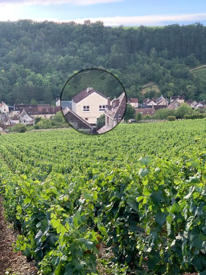 Maison De Campagne Entre Vigne Et Bois Chablis Exteriér fotografie