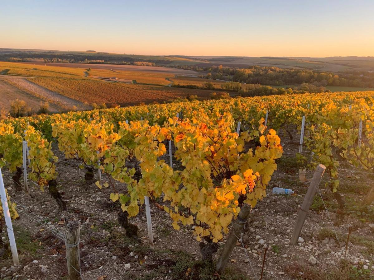 Maison De Campagne Entre Vigne Et Bois Chablis Exteriér fotografie
